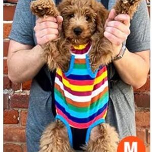 Pawaboo Pet Dog Cat Carrier Front Backpack Travel Hiking XL 11X16” Colorful